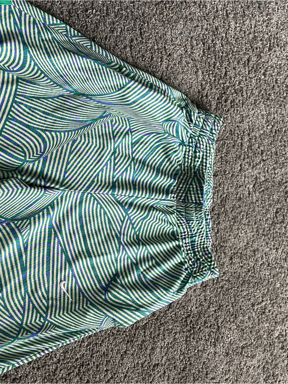 Nike Green & Blue Striped Athletic Shorts